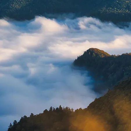 Avec Terrasse Et Vue Sur Les Vosges - *