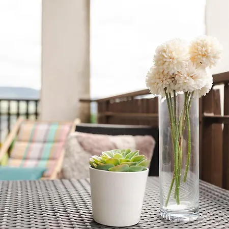 Daire Avec Terrasse Et Vue Sur Les Vosges - *