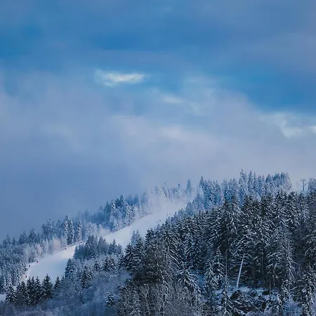 Daire Avec Terrasse Et Vue Sur Les Vosges - *