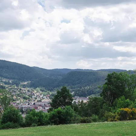 Avec Terrasse Et Vue Sur Les Vosges - Gérardmer