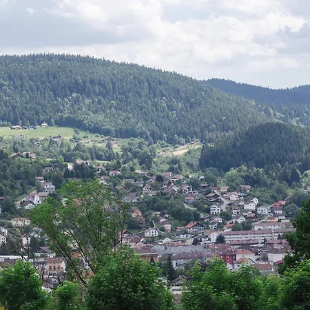 Daire Avec Terrasse Et Vue Sur Les Vosges - Gérardmer
